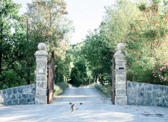 shooting wedding planner var MyEarth MyHome My Place