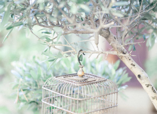 shooting wedding planner var MyEarth MyHome My Place