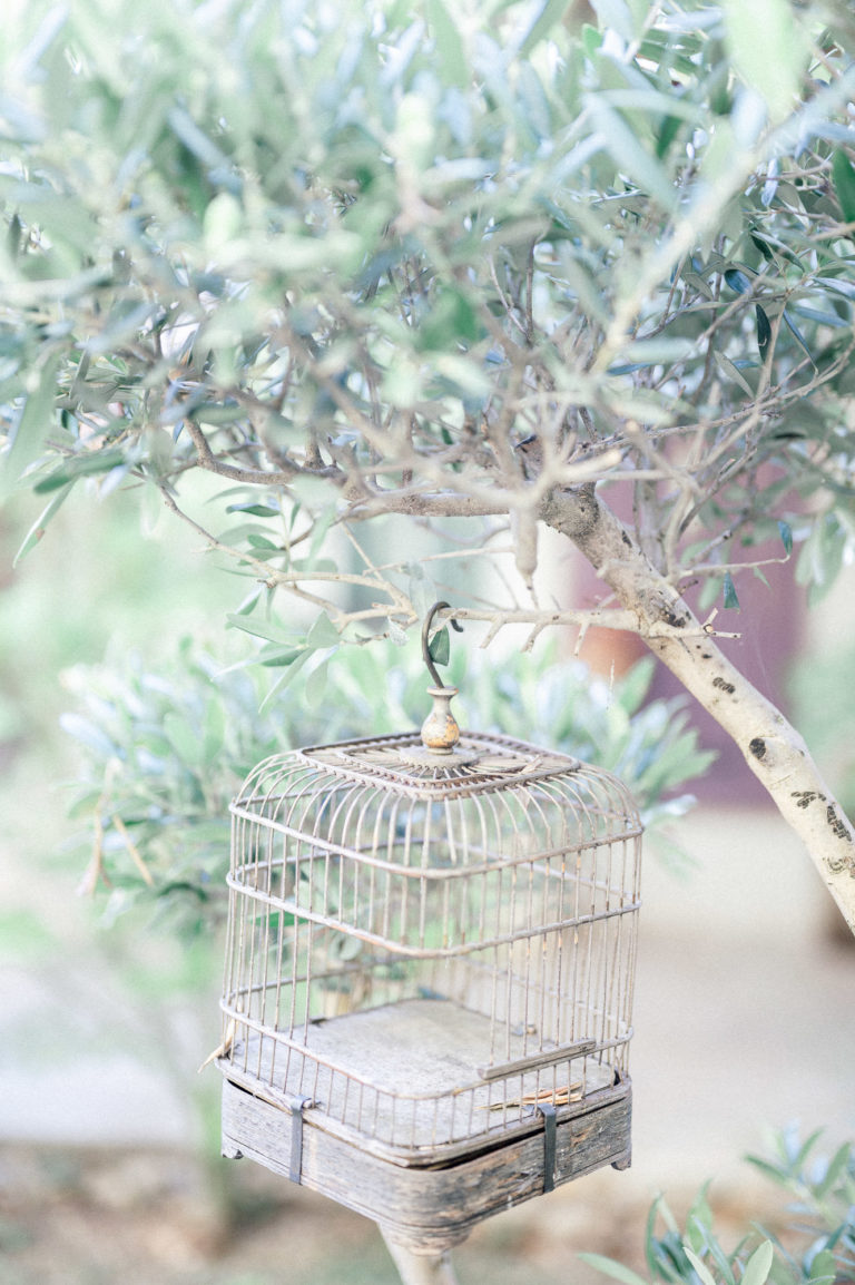 shooting mariage eco responsable var MyEarth MyHome