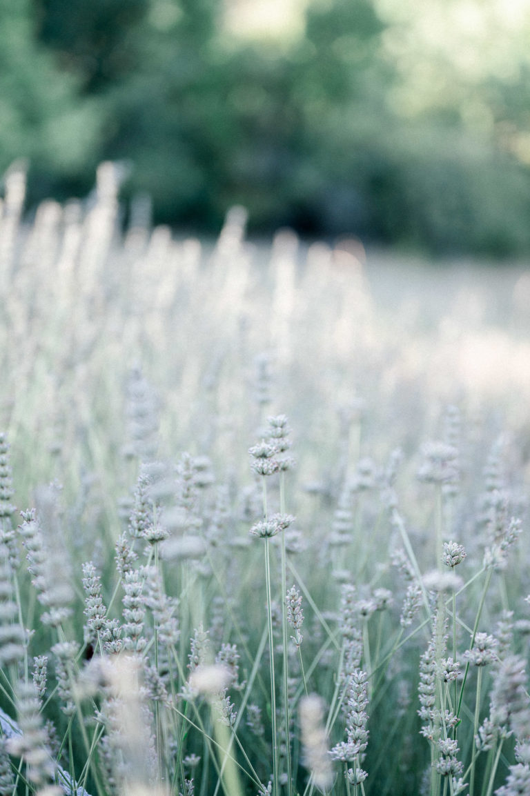 shooting mariage eco responsable var MyEarth MyHome