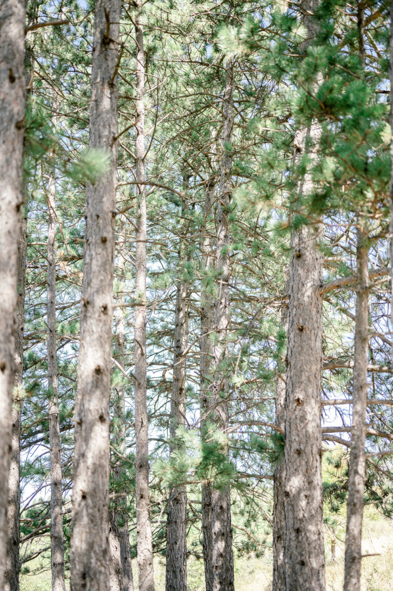 shooting mariage eco responsable var MyEarth MyHome