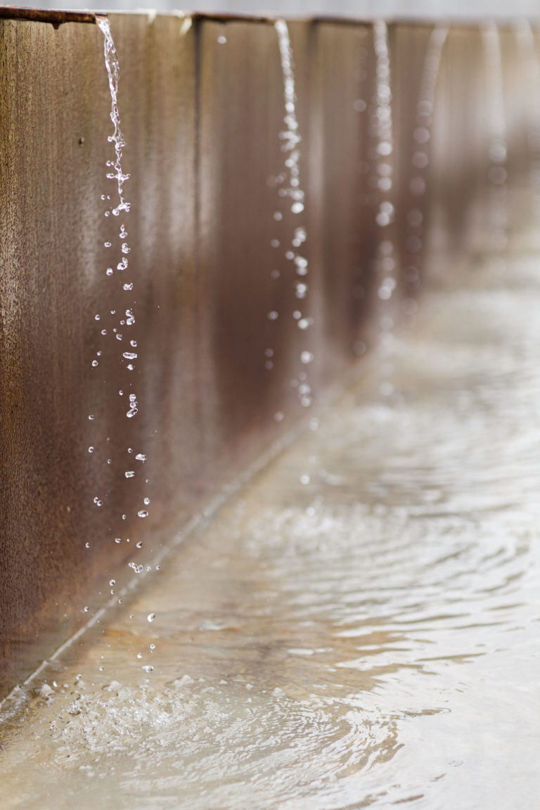 officiante cérénomie laique - workshop