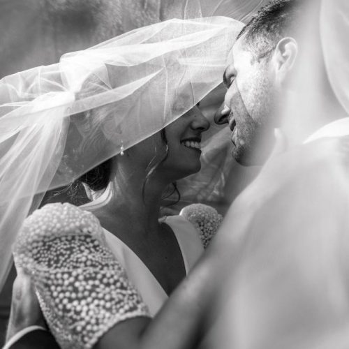 organisation-complete organisation complète